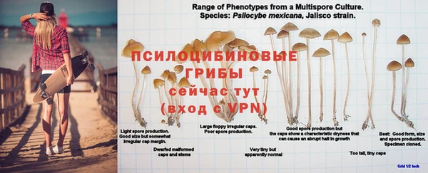 не бодяженный Володарск
