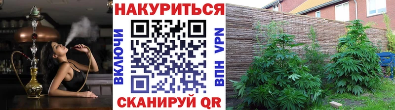 Каннабис Amnesia Рязань